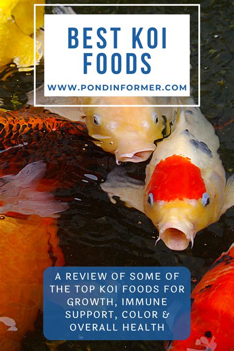 4 Best Koi Foods 2024 (Nutrition Analysis) .
